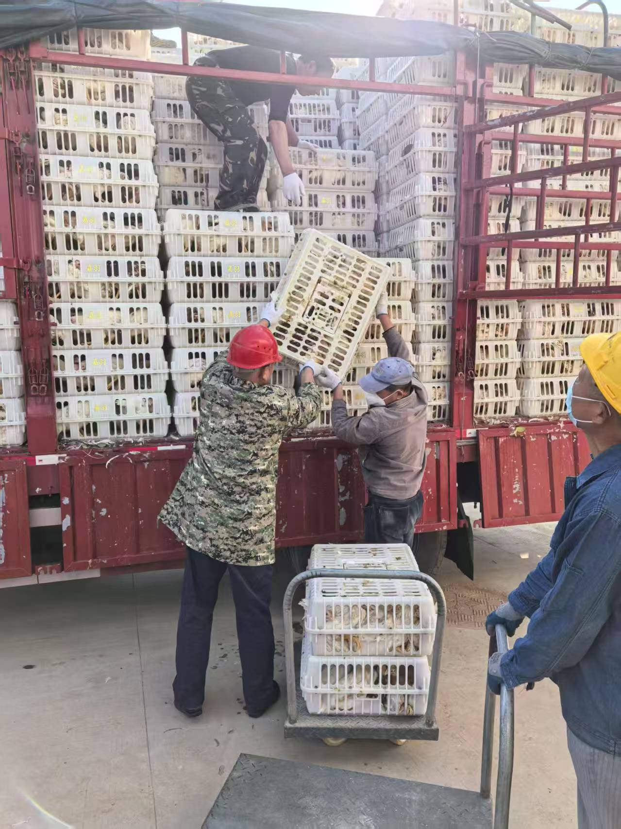微信图片_20250302013327.jpg
